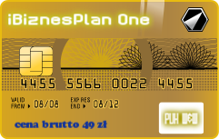 iBiznesPlan Pro